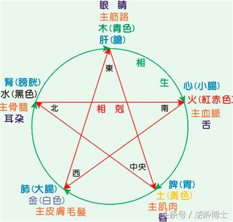 自己五行屬性|教你快速查自己的五行屬性，入門篇（一看就 ...